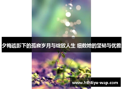 夕梅疏影下的孤寂岁月与绽放人生 细数她的坚韧与优雅