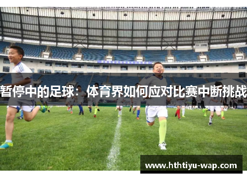 暂停中的足球：体育界如何应对比赛中断挑战